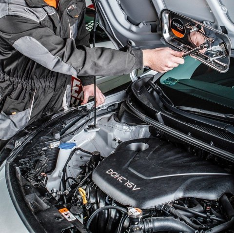 MISKA MAGNETYCZNA, PROSTOKĄTNA 245*145MM