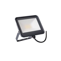 NAŚWIETLACZ IQ-LED FL-20W NW