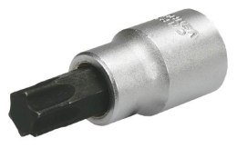 NASADKA TORX 1/2'' T55*60MM