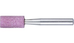 ŚCIERNICA TRZPIENIOWA 'ZY' 2020.06 EKR 36 N V4