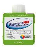 INCHEM PIGMENT MIX PISTACJA 80ML