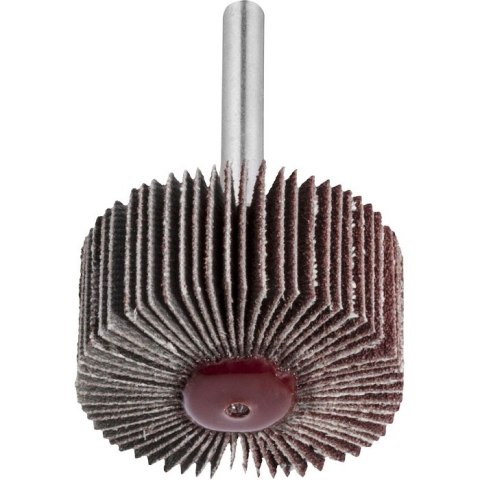 ŚCIERNICA TRZPIENIOWA LISTKOWA 03020.06 NK40