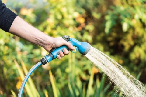 ZRASZACZ PISTOLETOWY SHOWER