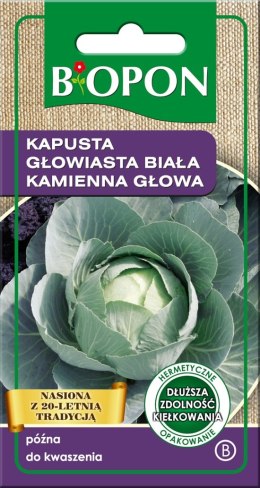 KAPUSTA GŁOWIASTA BIAŁA KAMIENNA GŁOWA 2G