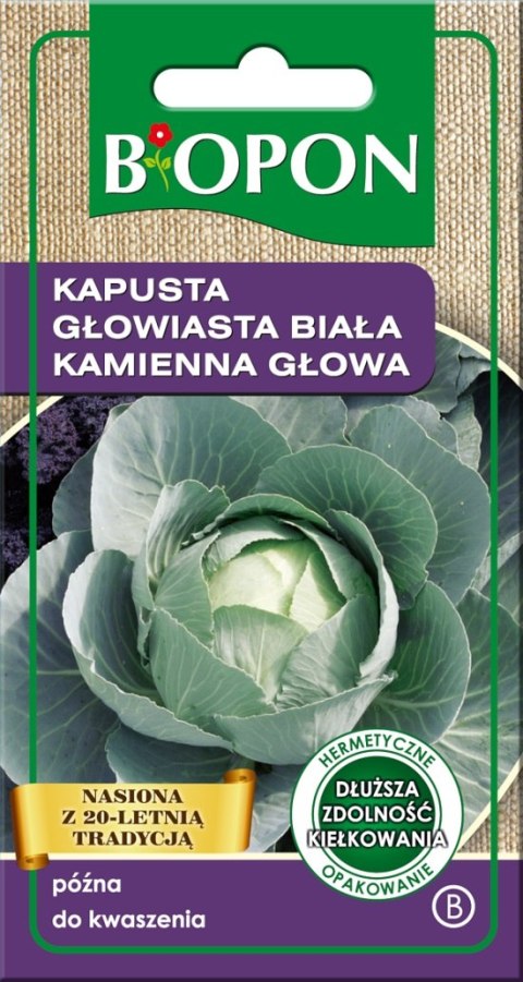 KAPUSTA GŁOWIASTA BIAŁA KAMIENNA GŁOWA 2G