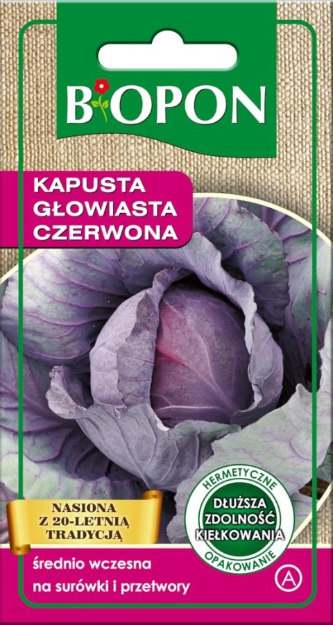 KAPUSTA GŁOWIASTA CZERWONA 1G