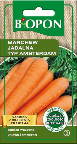 MARCHEW JADALNA AMSTERDAM 3 4G