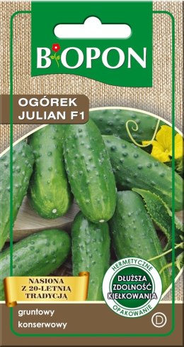 OGÓREK JULIAN F1 2G