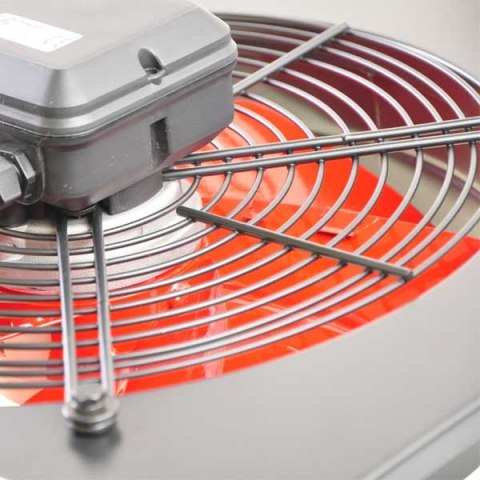 WENTYLATOR RUDI 38 1F NAWIEWNY