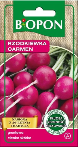 RZODKIEWKA CARMEN 5G