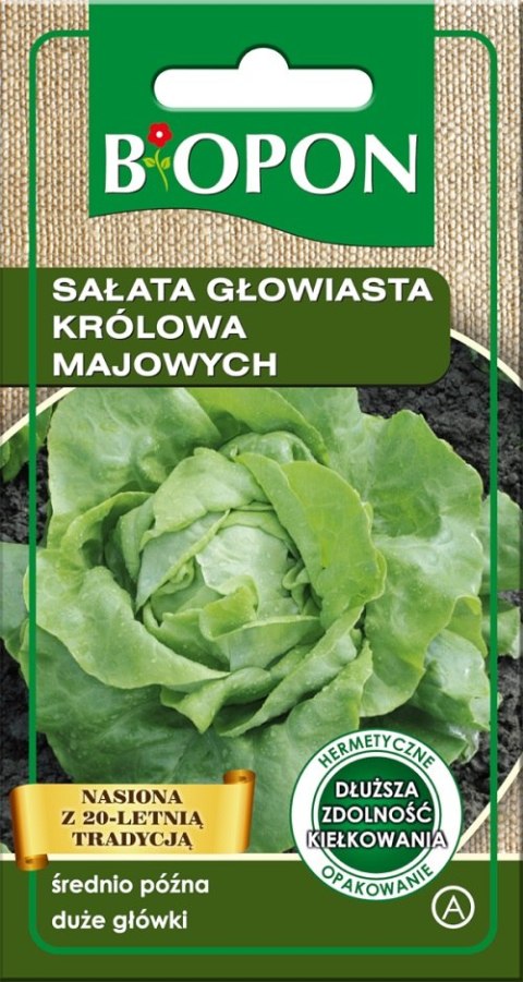 SAŁATA GŁOWIASTA KRÓLOWA MAJOWYCH 1G