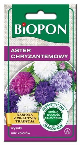 ASTER WYSOKI CHRYZANTEMOWY - MIESZANKA 1G