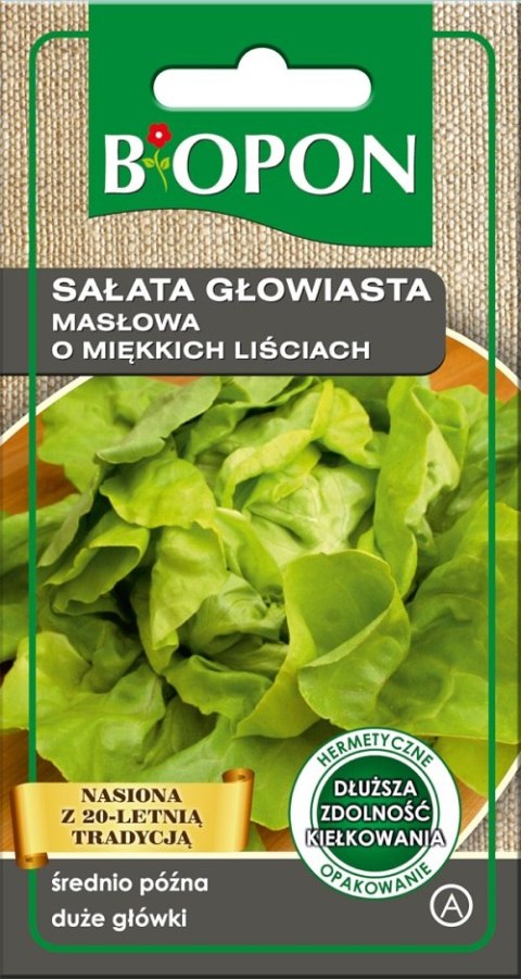 SAŁATA GŁOWIASTA MASŁOWA O MIĘKKICH LIŚCIACH 1G