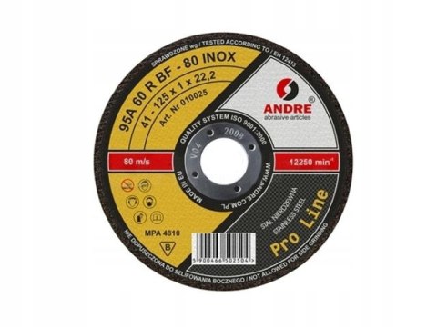 TARCZA PŁASKA T1A 300*3.0*32 30RBF 80 INOX