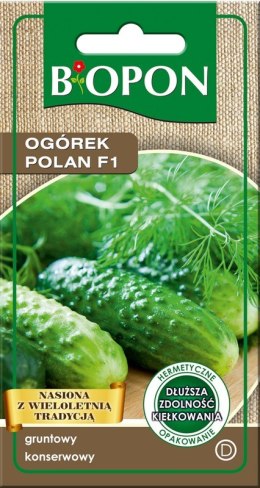 OGÓREK POLAN F1 3G